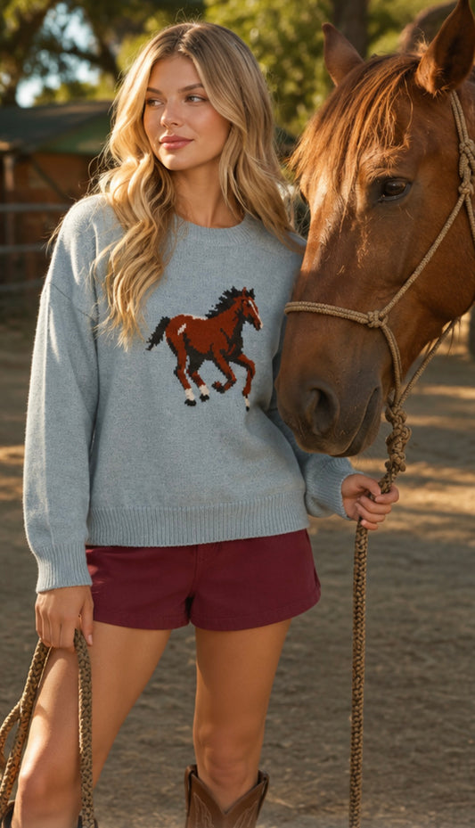 The Saddle Up Sweater